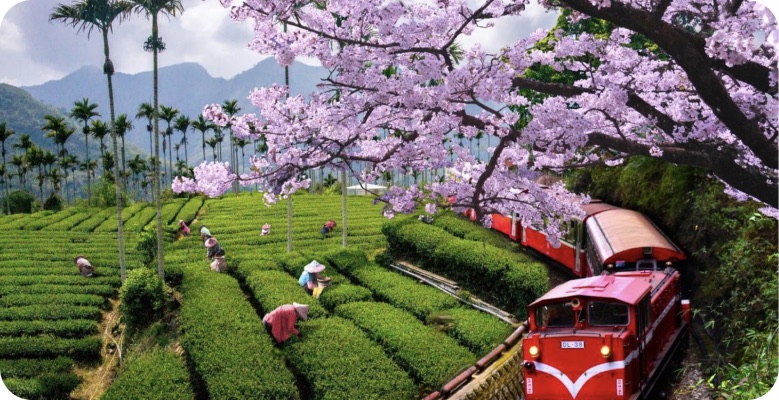 母親節感恩專案，圓夢家庭旅遊行程